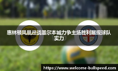球速体育官方网站